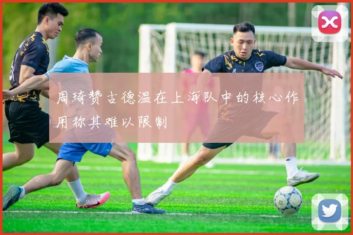 周琦赞古德温在上海队中的核心作用称其难以限制