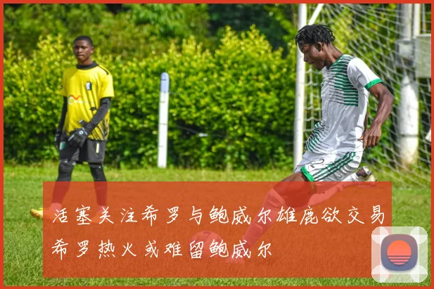 活塞关注希罗与鲍威尔雄鹿欲交易希罗热火或难留鲍威尔